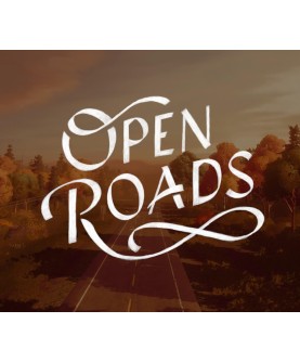 Open Roads Steam Key GLOBAL